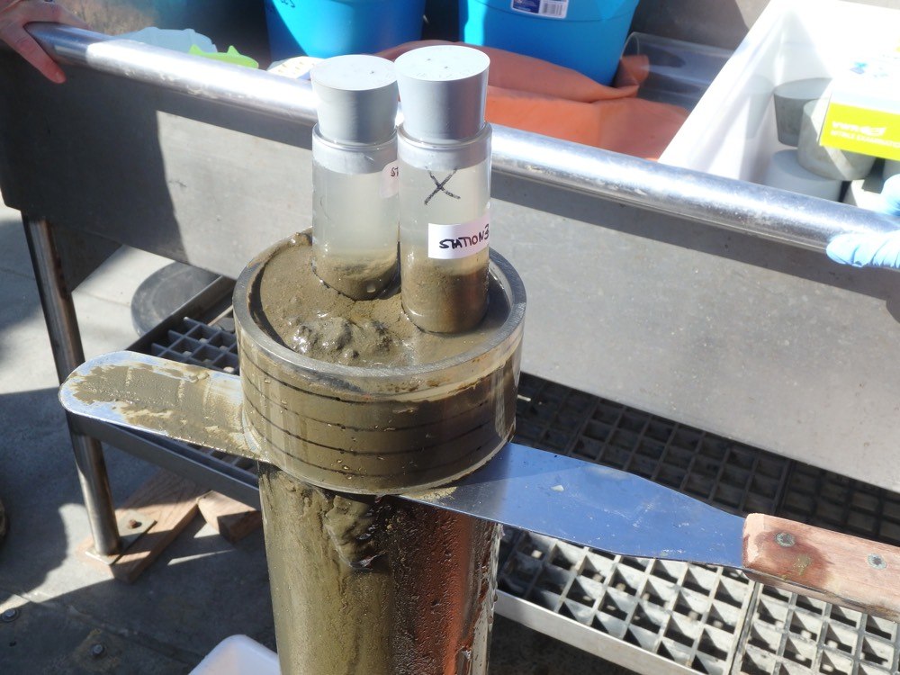 A sediment core recovered by the multicorer is subsampled for different analytical procedures.