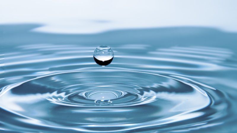 spotlight on sustainability: preparing your company for water resiliency