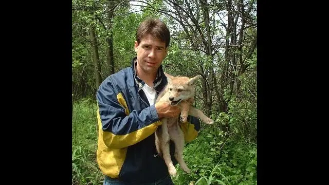 ghost dogs: coyotes as top predators of the city