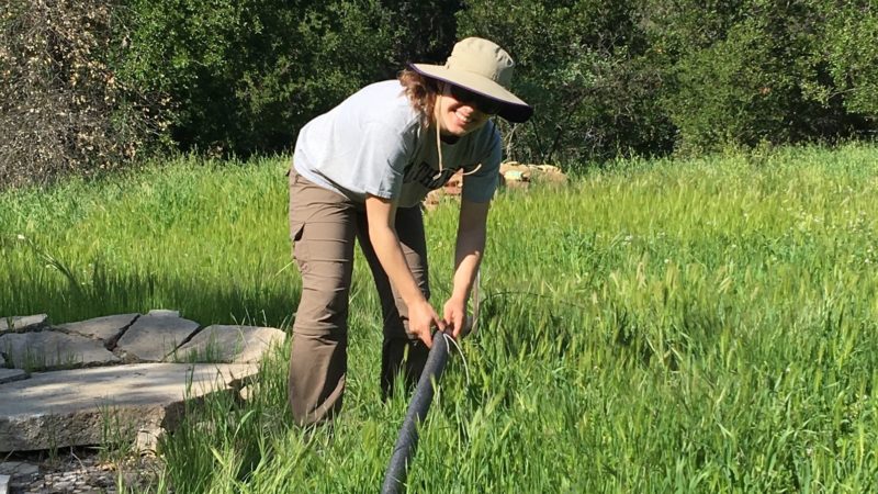 deploying arable ‘pulsepod’ sensors to continuously and remotely monitor plant stress