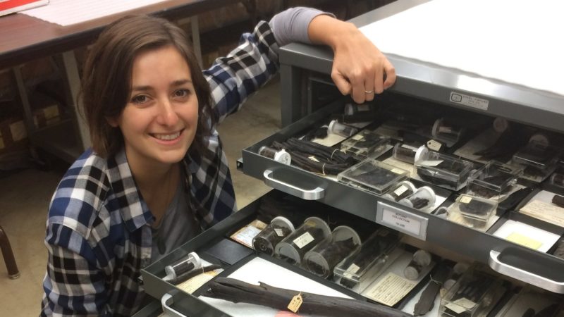 using plant remains from the la brea tar pits to assess the impact of climate change on community ecology and extinction in the los angeles basin