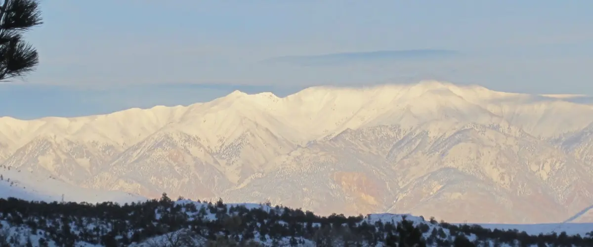 white mountain research center
