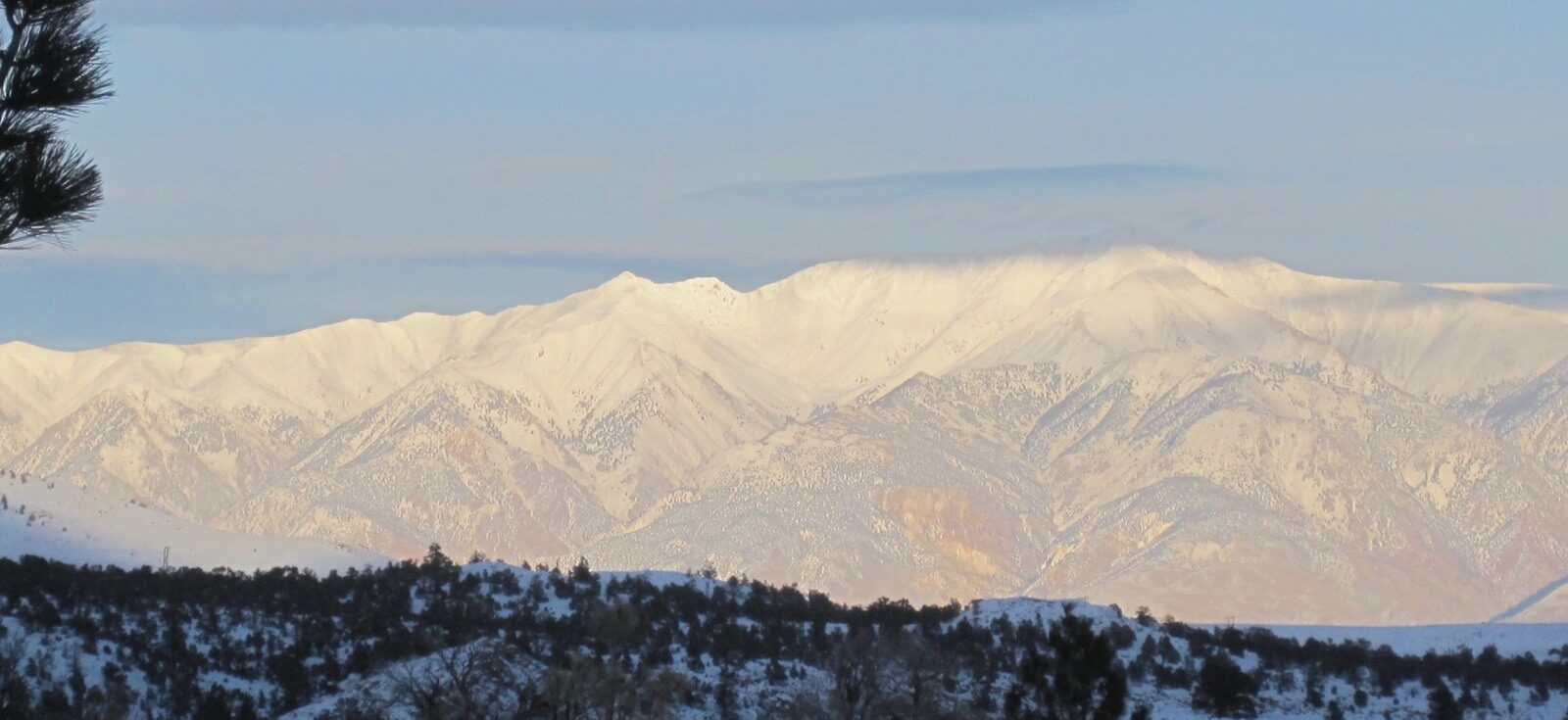 white mountain research center