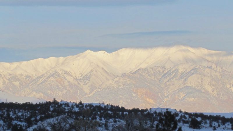 white mountain research center