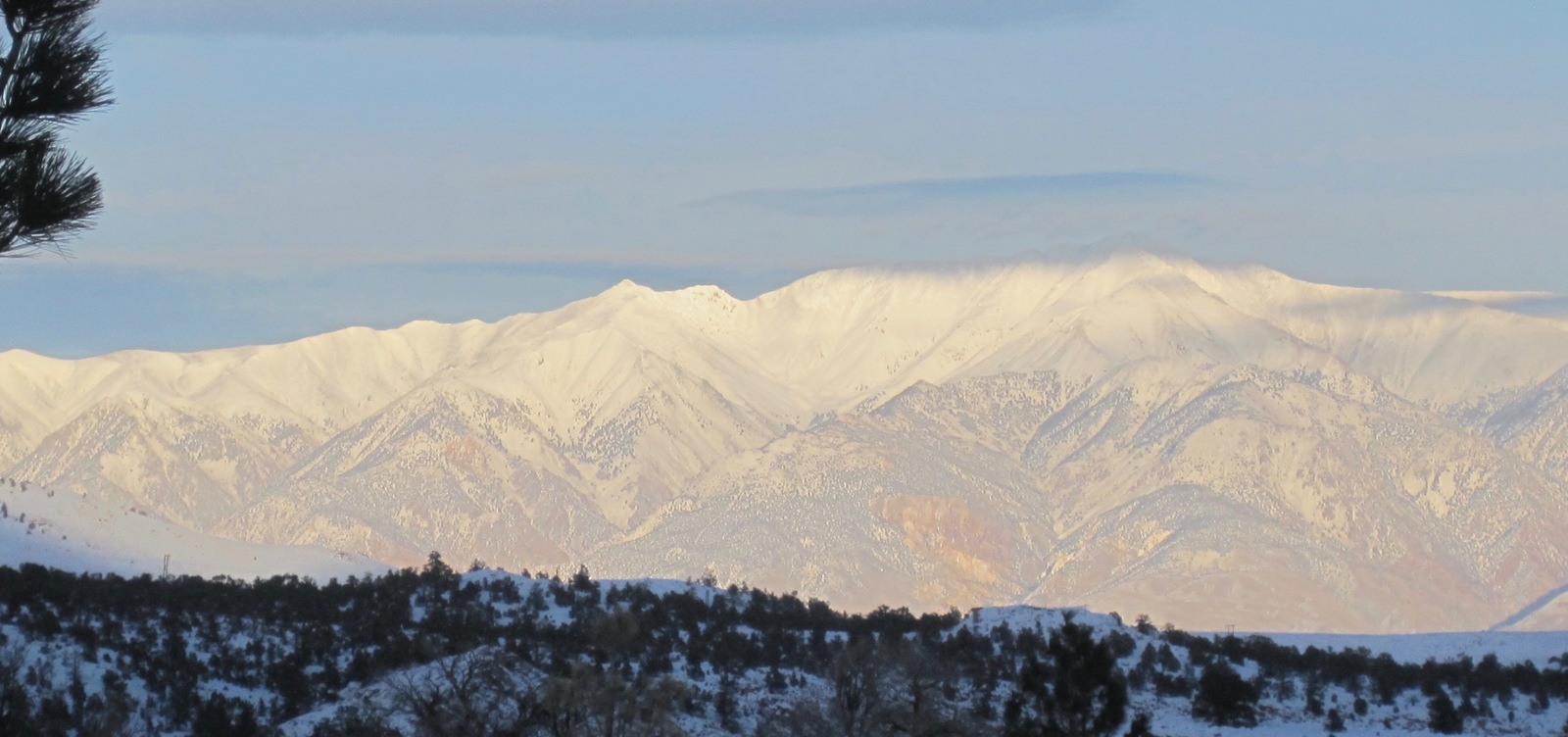 white mountain research center