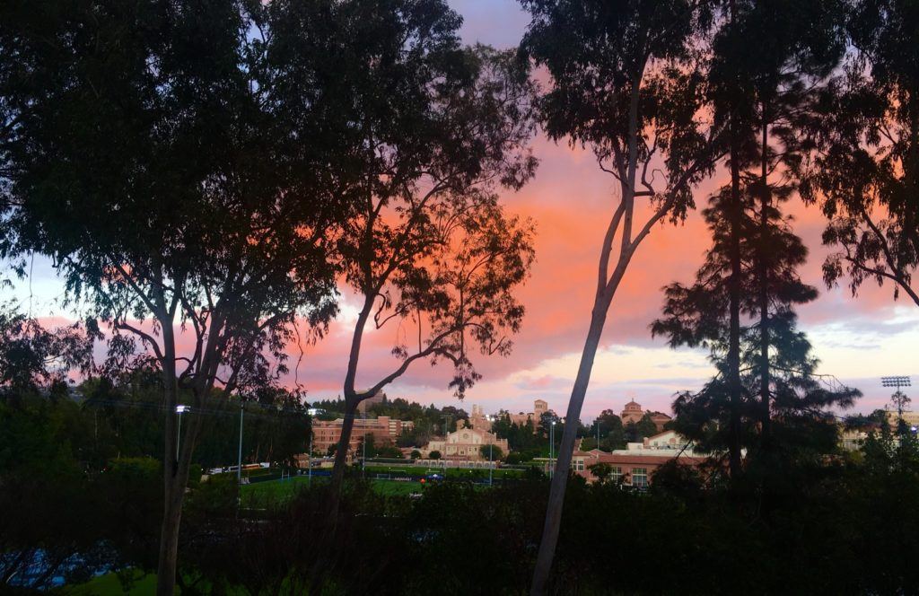 questions, queries, and cogitations: sustainable buildings, inside and out