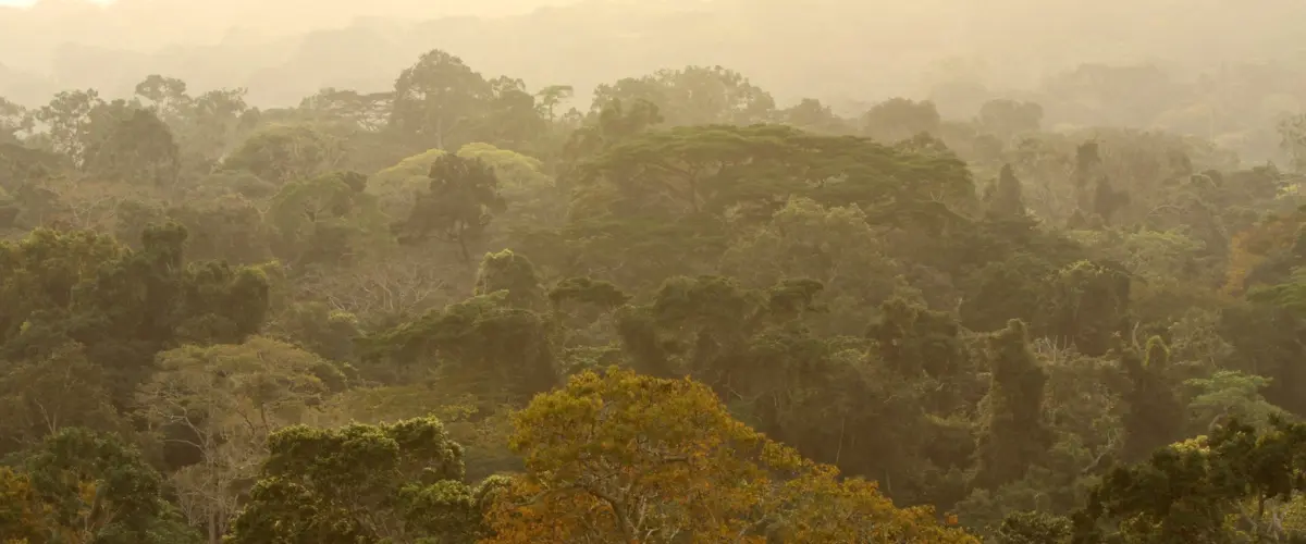 center for tropical research