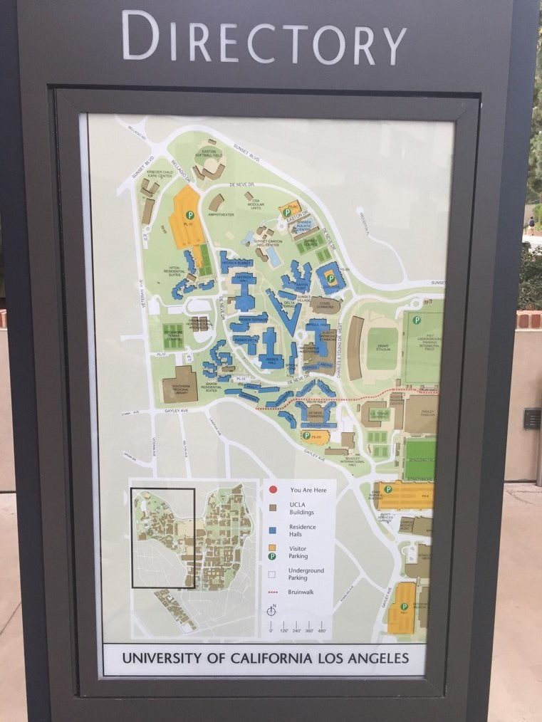 mapping ucla’s rodent sightings