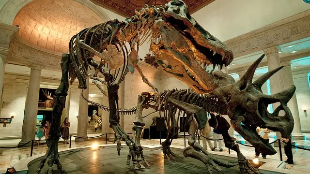 natural history museum of los angeles county