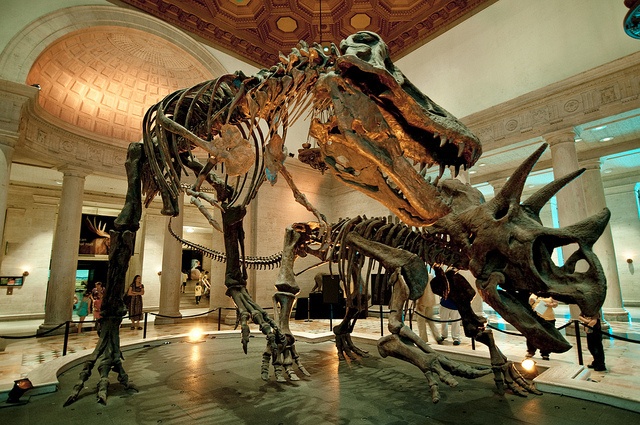 natural history museum of los angeles county