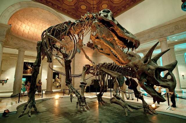 Natural History Museum Of Los Angeles County Institute Of The 