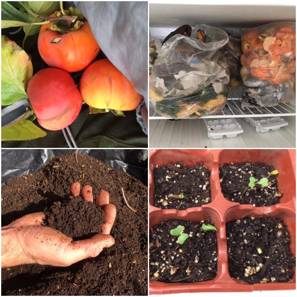 graduate housing and establishing sustainable communities