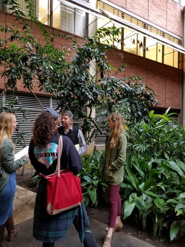 parking or courting?