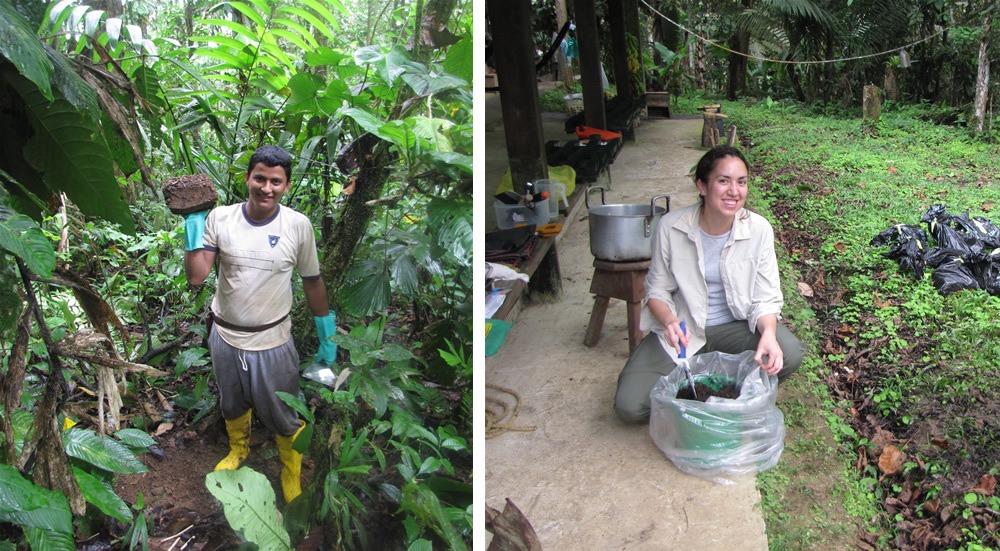 the ecological and genetic role of seed dispersal for a tropical tree in ecuador