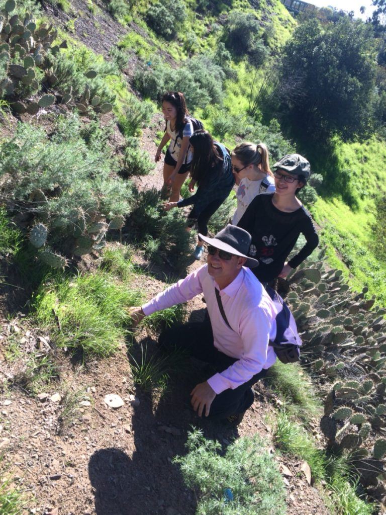 the native grass can be greener on both sides of the fence!