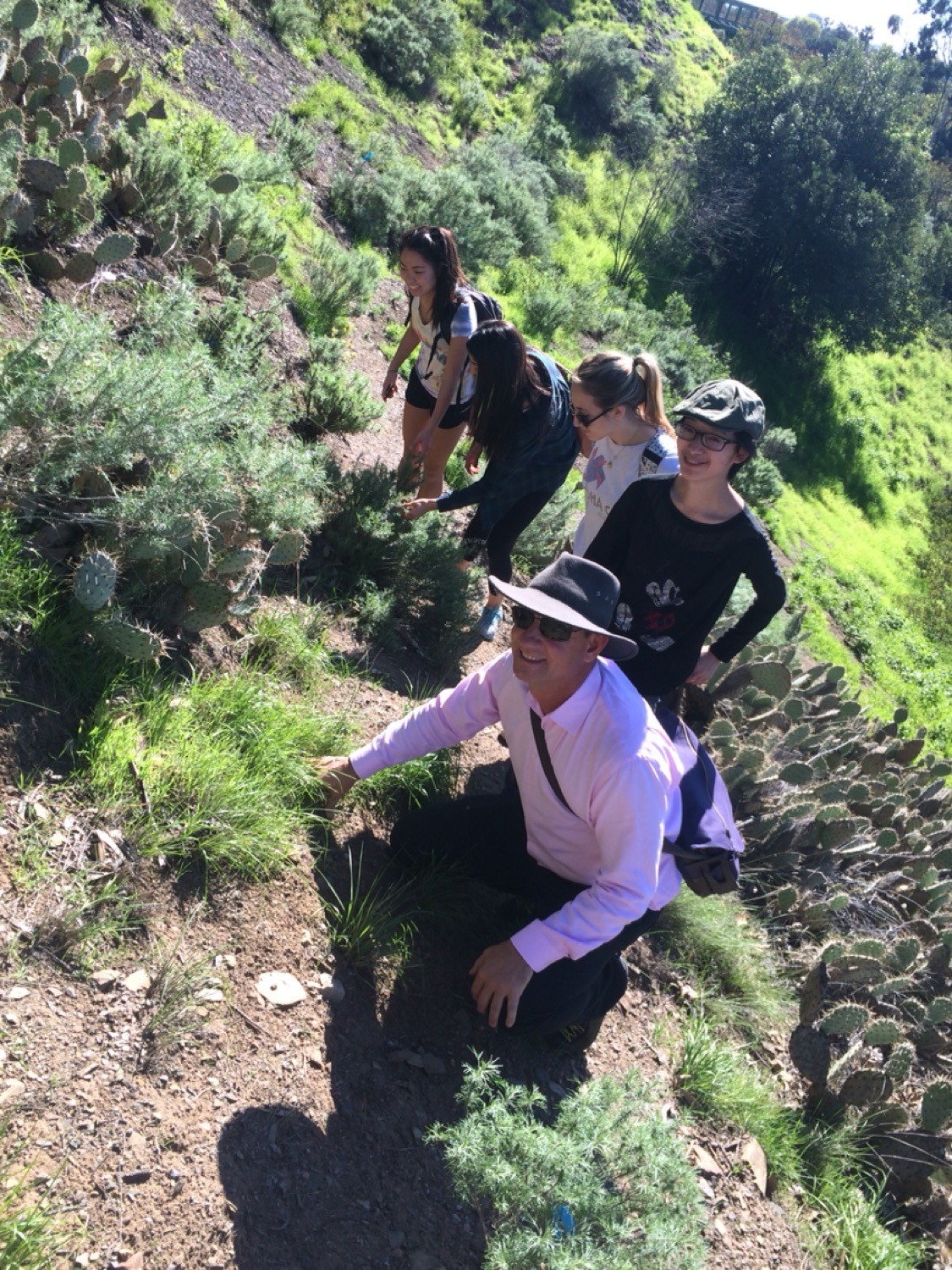 the native grass can be greener on both sides of the fence!