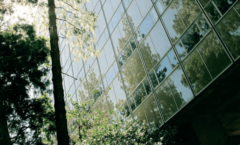 themes of hunger, food, and survival