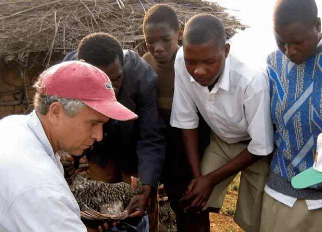 creating a new defense for biodiversity
