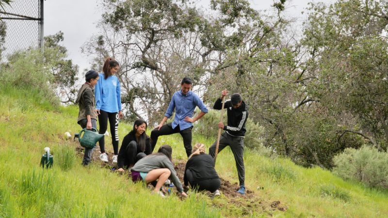 biodiversity restoration: giving sage hill a physical, educational, and digital presence