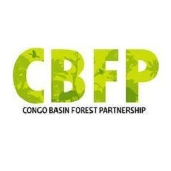 Congo Basin Forest Partnership