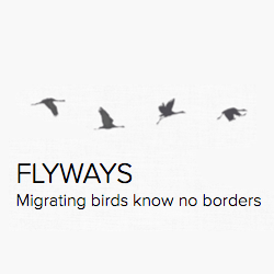 Flyways