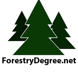 Forestry Degree