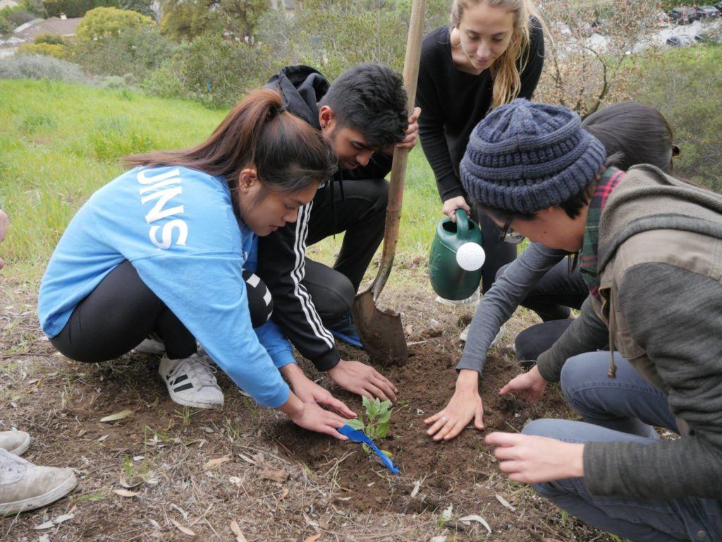 sage hill gets a sign and 70 new native plants!