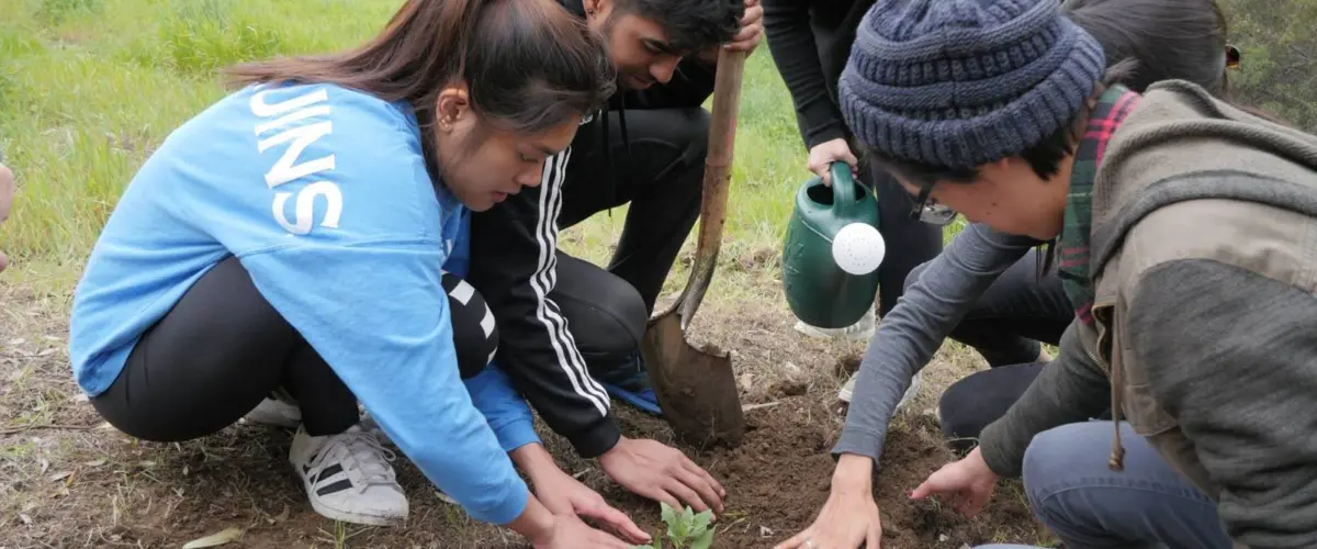 sage hill gets a sign and 70 new native plants!