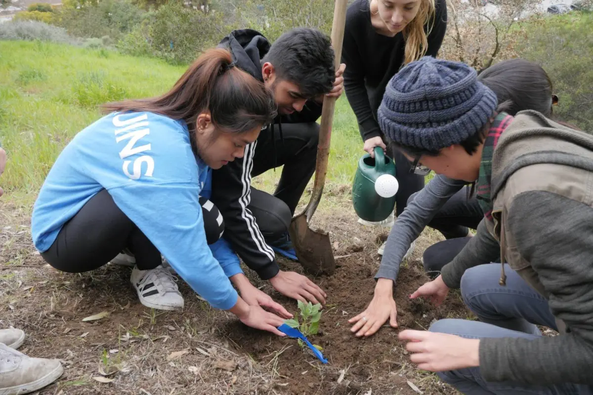 sage hill gets a sign and 70 new native plants!