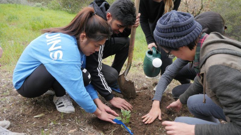 sage hill gets a sign and 70 new native plants!