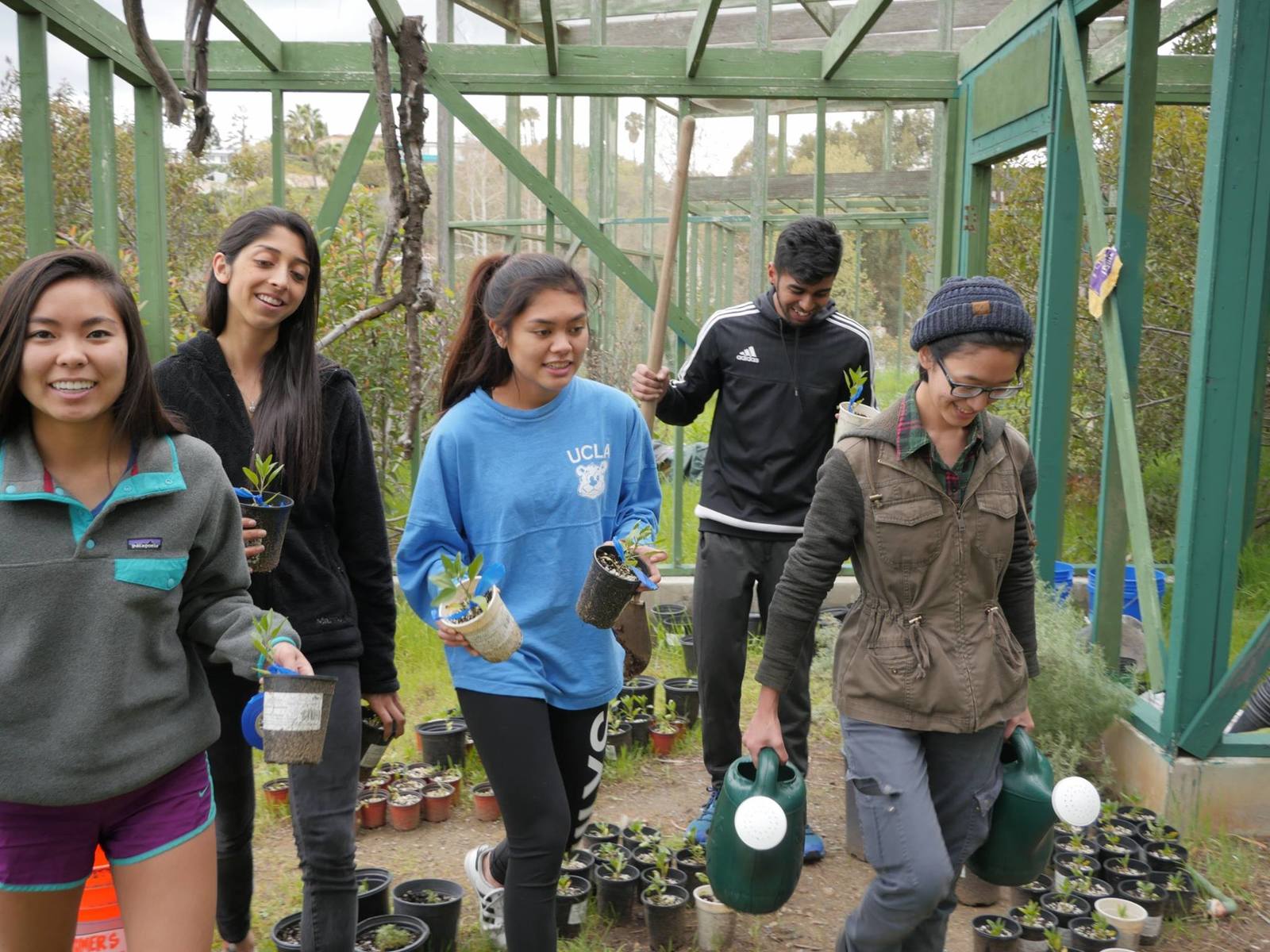 sage hill gets a sign and 70 new native plants!