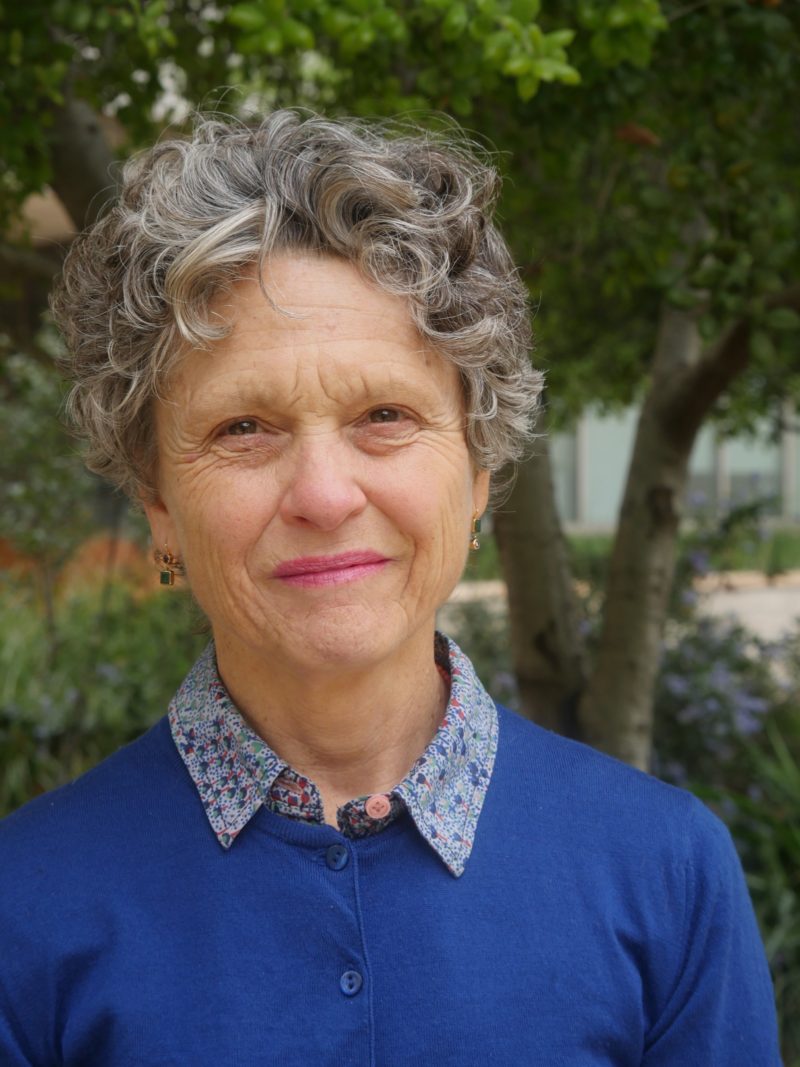 stephanie pincetl, phd