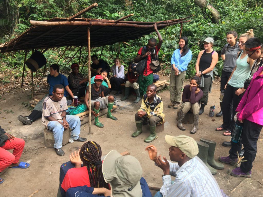 students re-establish vital foothold for research deep in african rainforest