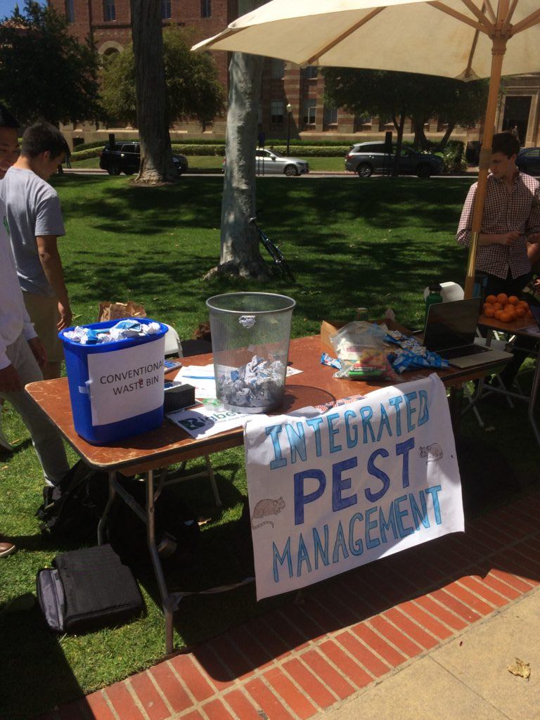 the unseen creatures of the night