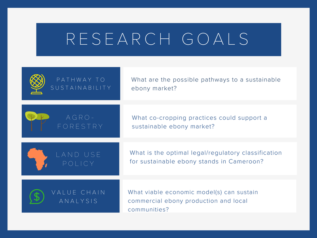 developing a model for sustainable ebony production and logging in cameroon