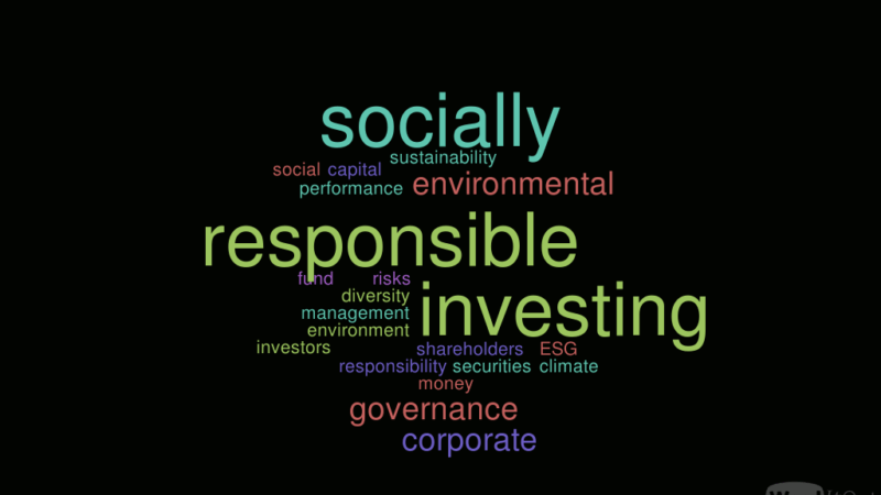​socially responsible investing case study dataset