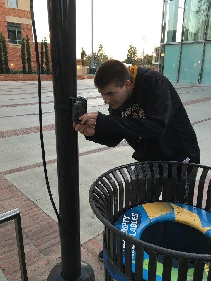 capturing the big picture