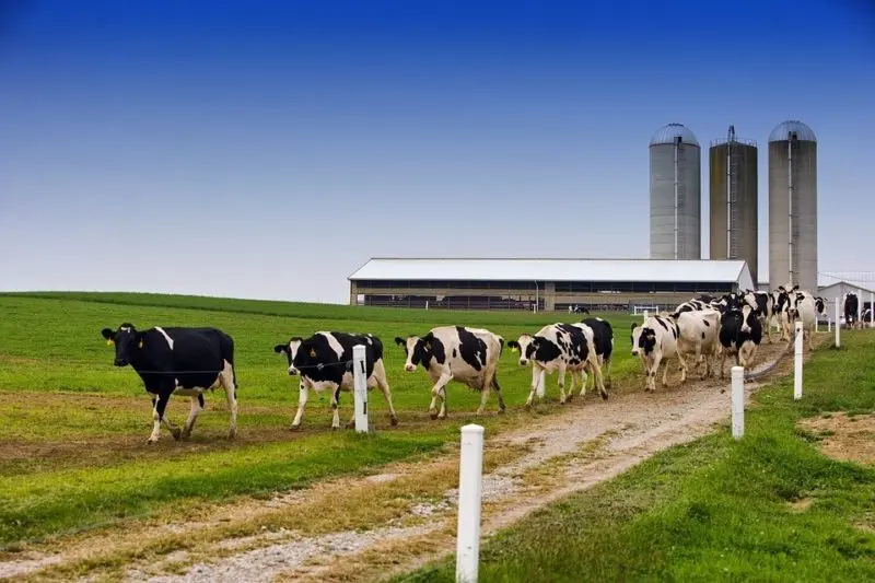 increasing the beneficial use of organic waste in california