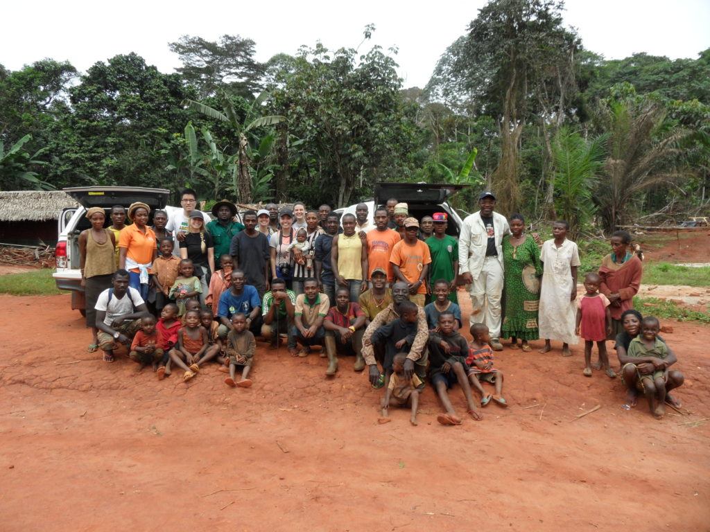developing a model for sustainable ebony production and logging in cameroon