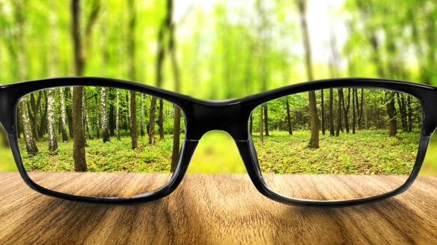 how should firms disclose their environmental performance?