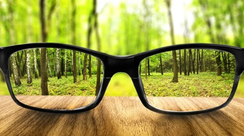 how should firms disclose their environmental performance?