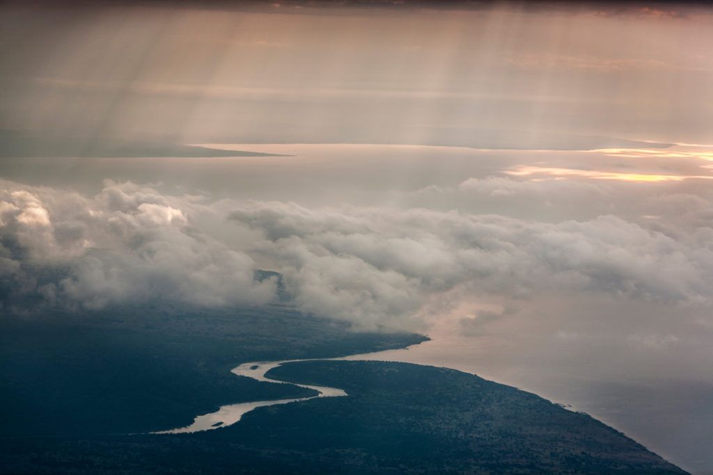 hi-tech rainforest map brings climate and conservation efforts into sharp relief