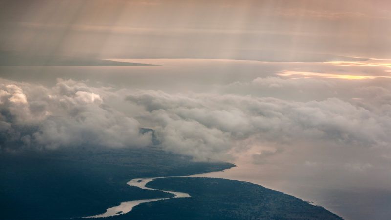 hi-tech rainforest map brings climate and conservation efforts into sharp relief