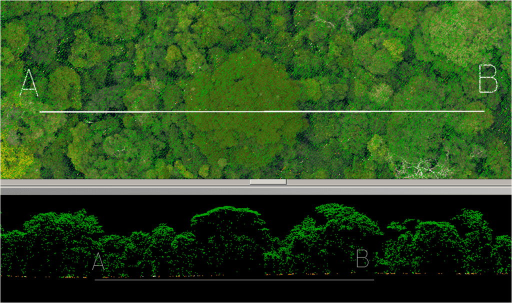 hi-tech rainforest map brings climate and conservation efforts into sharp relief