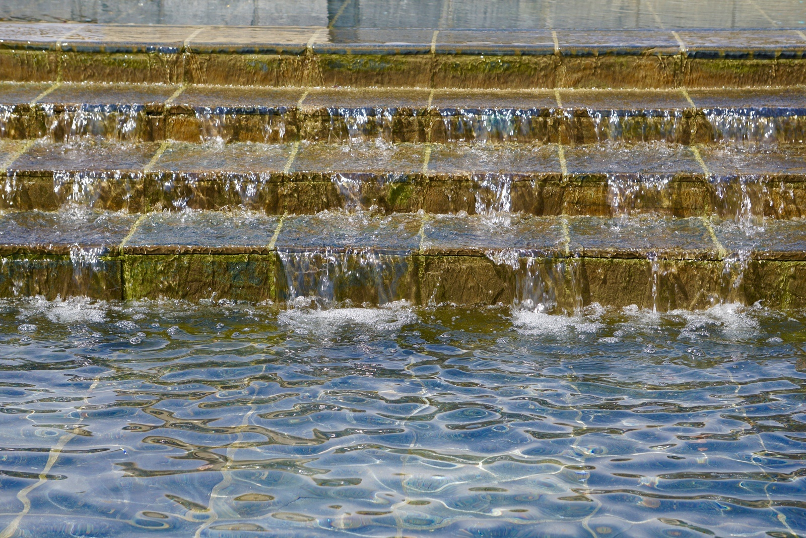 research roundtable: water resiliency for business
