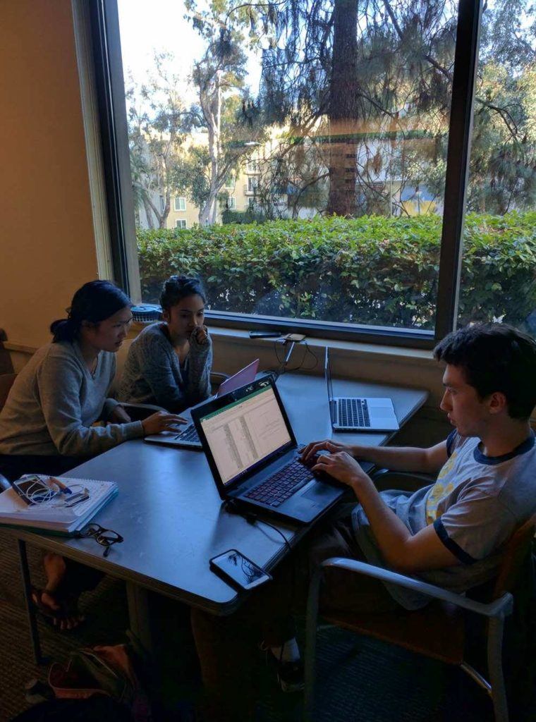 social productivity