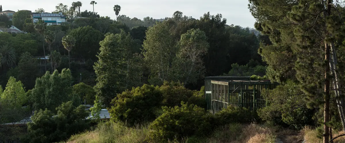 A dirt path along a brushy hillside at Sage Hill, with trees, a fenced enclosure, and houses on the ridge beyond.