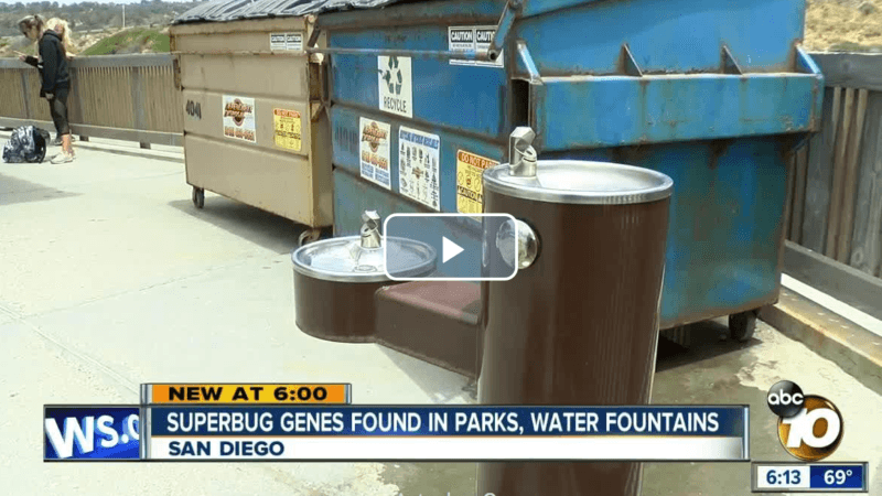 drug-resistant superbug genes found in san diego parks