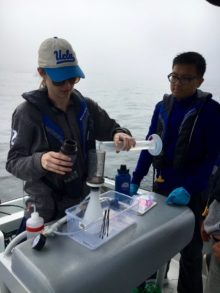 impacts of kelp forests on ocean acidification in santa monica bay