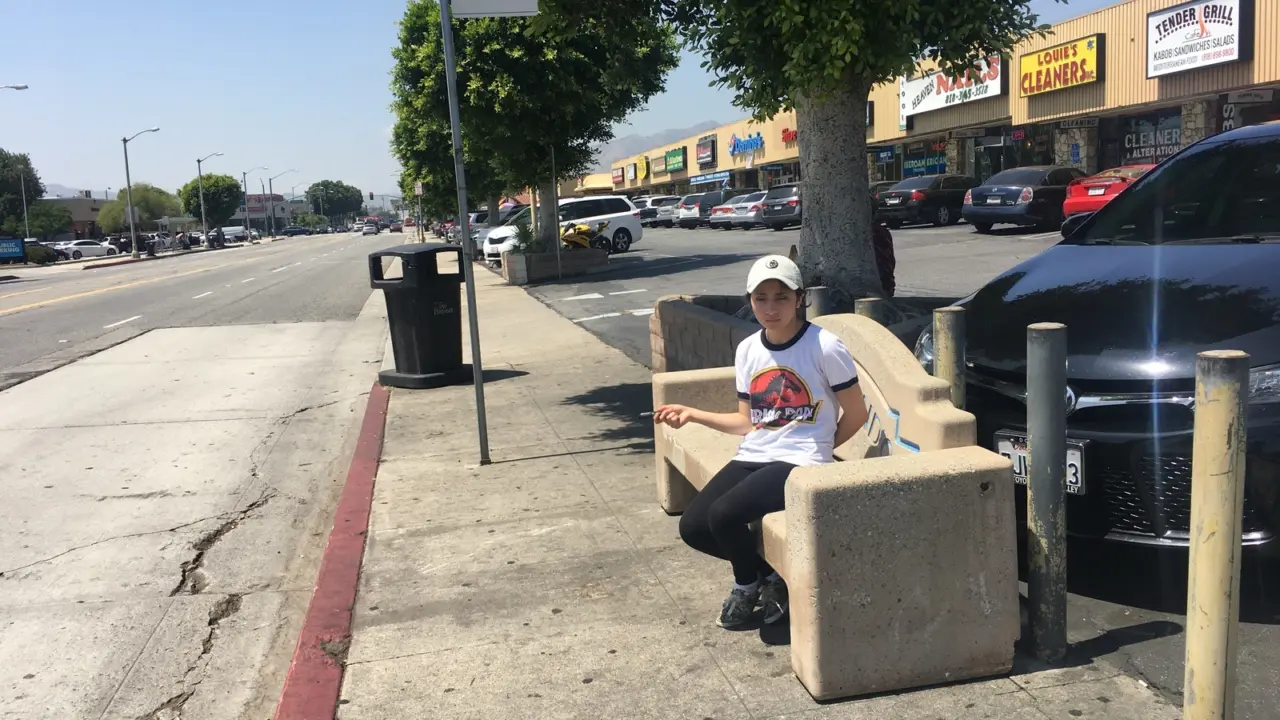 effects of trees and other types of land cover on heat-vulnerable neighborhoods of los angeles